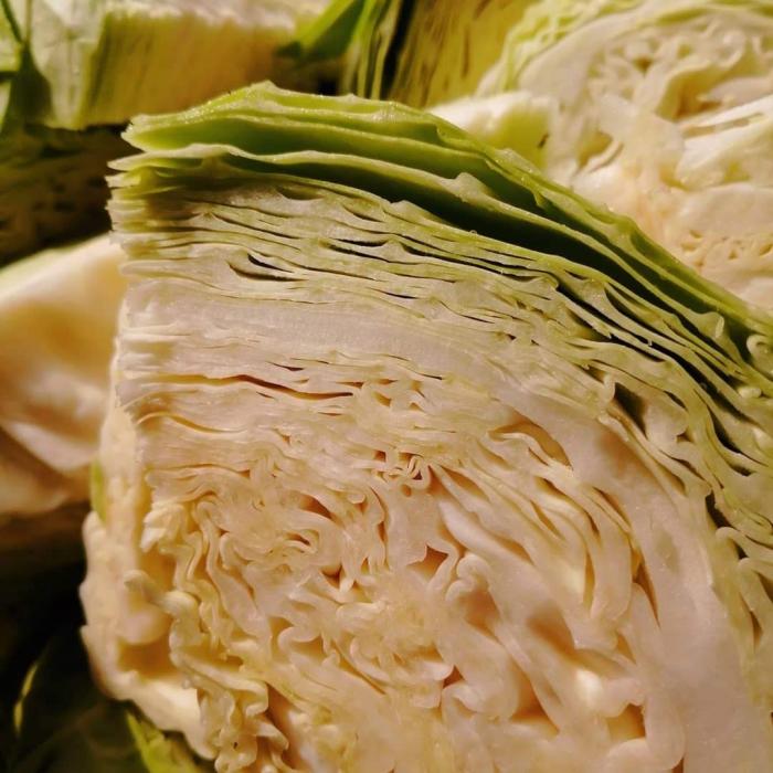 Repollo blanco
