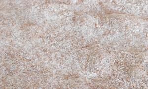 Masas de Wrap en horno de piedra