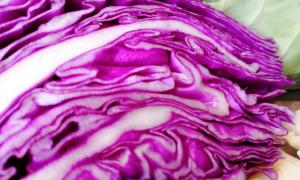 Repollo morado 