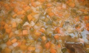 Sopa de verduras en cubos