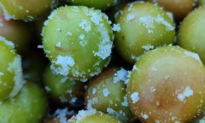 umeboshis con sal